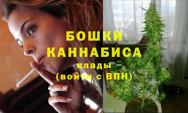 гашик Вязьма