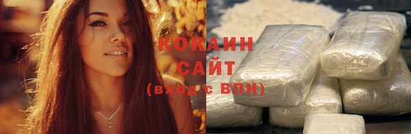 гашик Вязьма
