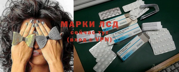 гашик Вязьма