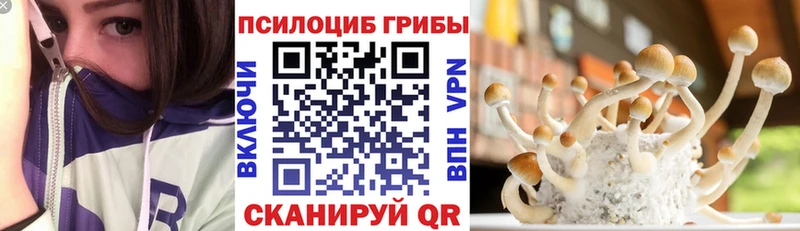 Псилоцибиновые грибы ЛСД  Купить где  Приморско-Ахтарск 