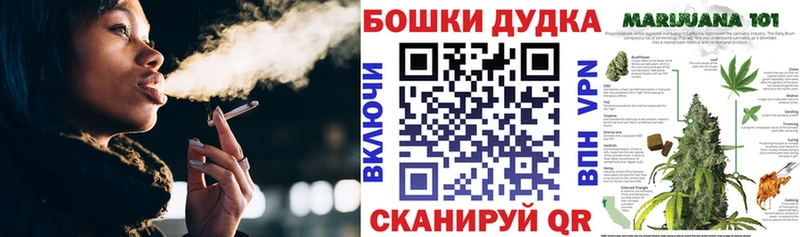 Бошки Шишки гибрид  Купить  Приморско-Ахтарск 